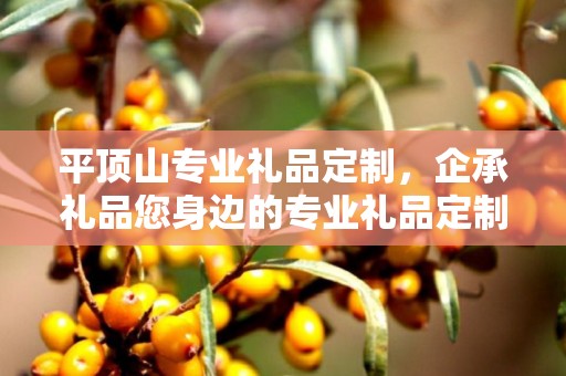 平顶山专业礼品定制，企承礼品您身边的专业礼品定制公司