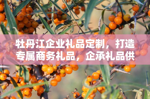 牡丹江企业礼品定制，打造专属商务礼品，企承礼品供应链助力企业发展